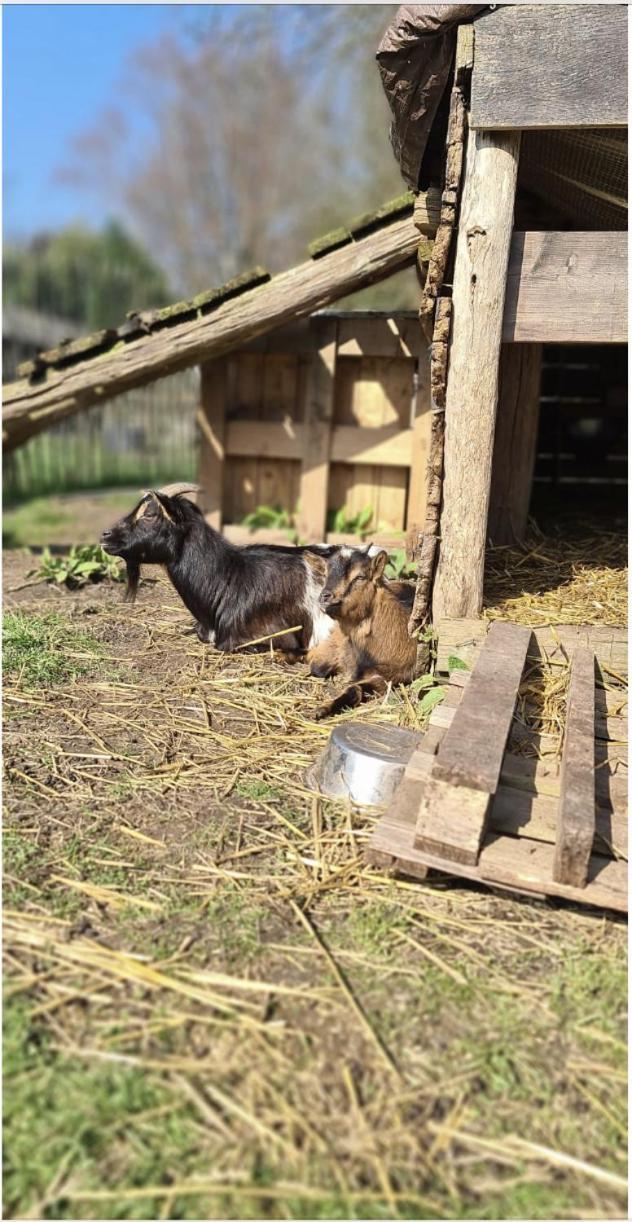 Appartamento Eikelhof Berkel-Enschot Esterno foto